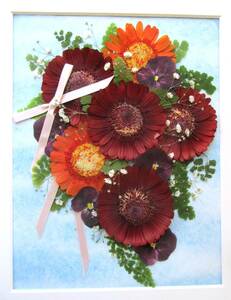 * pressed flower material * gerbera. Cath ke-do bouquet ~ ribbon . attaching ~*36 size 