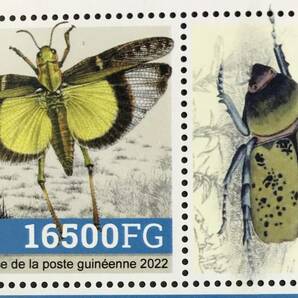 ギニア 2022年発行 昆虫 切手 未使用 NHの画像3