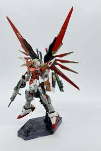 RG デスティニーガンダム ハイネ専用機 光の翼付き