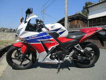 ＣＢＲ２５０Ｒ－３　ＡＢＳ　ＭＣ４１　デュアルライト　現状_画像6