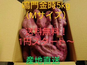 【送料無料！1円スタート〜】さつまいも鳴門金時5kg（Mサイズ）a