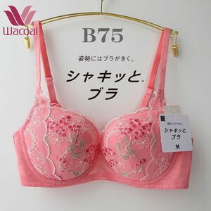 定価6600円 ◆B75 ワコール (Wacoal) シャキッとブラ 3/4カップブラジャー★シャキッとした姿勢　りりb75