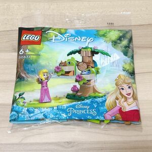 LEGO レゴ ディズニープリンセス オーロラ姫 マイクラ パンダ ポリバッグ ミニセット ミニキット ミニフィグ 未開封 新品