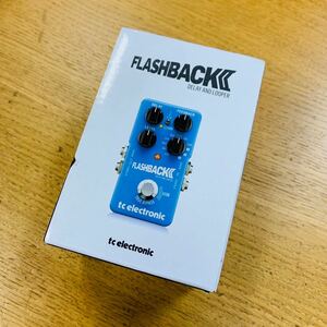 electronic Flash Back Delay 2 エフェクター ディレイ NN223