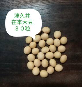 【津久井在来大豆 30粒】晩生 枝豆も美味！ /　自然農　自然農法（農薬不使用 無肥料 不耕起）自然栽培　在来種　昨季自家採種　送料73円～