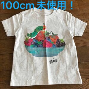 【未使用】キッズ100cmグラニフ×はらぺこあおむしコラボ限定Tシャツ半袖グレーエリックカール