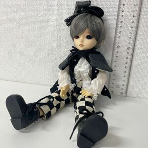 現状品 ドール カスタムドール? スーパードルフィー　SD ボークス オッドアイ 男の子 全長約25cm （検 アゾン オビツ 240327T06