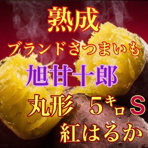 芋ソムリエが選んだ熟成ブランド芋 旭甘十郎　紅はるか　箱込み5キロ弱　送料無料