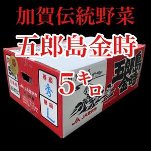 石川県産　加賀伝統野菜　五郎島金時　箱込み5キロ弱　約8本から14本送料無料