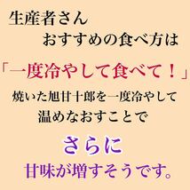 芋ソムリエが選んだ熟成ブランド芋 旭甘十郎　紅はるか　箱込み5キロ弱　送料無料_画像4