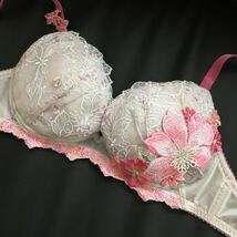 サルート ブラジャー単品 33G おとめ座　F65 補正下着 ワコール _画像2