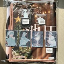 新品 乃木坂46 モバイル のぎBOX 池田瑛紗 S賞A賞B賞 7点セット フェイスタオル アクリルスタンド オーナメント クリアカード のぎサンタ_画像5