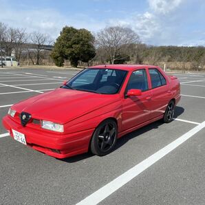 ALFAROMEO１５５ 走行33000ｋｍ アルファロメオ１５５ツインスパーク１６V 丸山モリブデン注入済の画像1