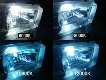 12V 35W D2C （D2S/D2R） 純正 ＨＩＤ 用 交換 バルブ 1セット　6000K/8000K/10000K/12000K　トヨタ 日産 マツダ スズキ ホンダ 三菱_画像1