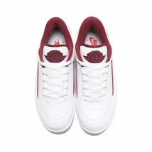 NIKE ナイキ AIR JORDAN 2 レトロ LOW DV9956-103 白エンジ 29cm_画像3