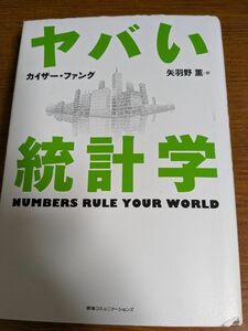 【値下げ！一点限定早い者勝ち！送料無料】『ヤバい統計学』 カイザー・ファング／著　矢羽野薫／訳