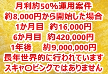 ■月利約50％運用案件 負け無 世界で実績有 合法 仮想通貨 暗号通貨 副業在宅 ネットサイドビジネスSOHO 不労所得転売せどりFX株バイナリー_画像3