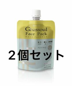 ナイアード ガスール フェイスパック 170g 2個セット 