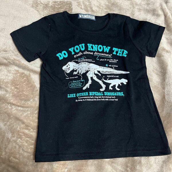 恐竜 半袖 Tシャツ　