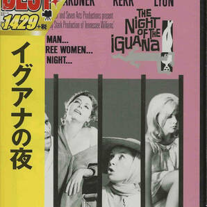 ジョン・ヒューストン「イグアナの夜 The Night of the Iguana」リチャード・バートン／エヴァ・ガードナー／デボラ・カー ＜DVD＞の画像1