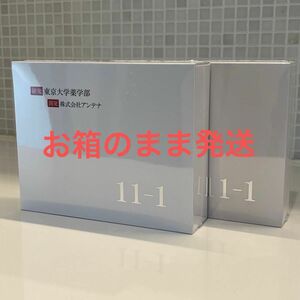 11-1乳酸菌（ 2g×30包）2箱　新品未使用　いちいちのいち　正規品