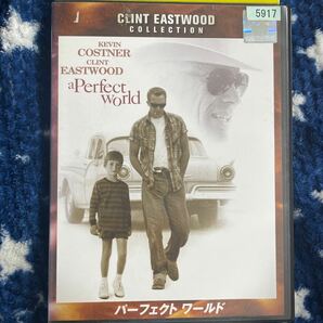 DVD パーフェクトワールド　レンタルアップ　よ124