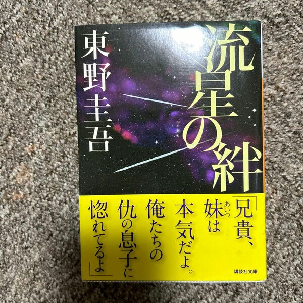 流星の絆 （講談社文庫　ひ１７－２７） 東野圭吾／〔著〕