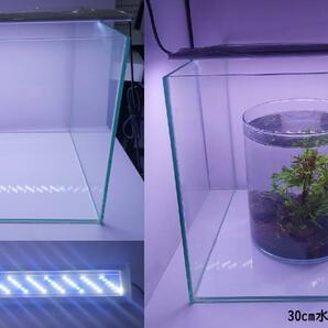 1本★水草育成ライト LED水槽ライト 60cm水槽対応A1571の画像4