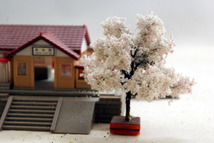 鉄道、建築模型　ジオラマ　桜　廉価版（中）_画像3