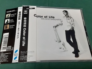  Haruhata Michiya *[Color of Life] б/у CD