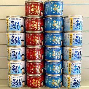 いわし缶　伊藤食品　22缶セット　食塩不使用水煮、醤油煮、水煮　美味しい缶詰　国産 イワシ缶　鰯缶　化学調味料不使用　送料無料 