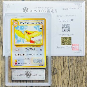 【ARS10+】サザンアイランド ミュウ ピジョット イワーク Mew Pidgeot Onix 3枚セット 旧裏 プロモ 鑑定書付属 PSA BGS ARS鑑定10+ 鑑定品の画像5