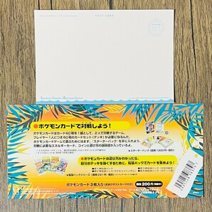 【ARS10+/10】サザンアイランド トゲピー フシギソウ ラッタ Togepi Ivysaur Raticate 3枚セット 旧裏 プロモ 鑑定書付属 ARS鑑定10+の画像2