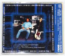 GLENN HUGHES Blues 1993年日本盤帯付き APCY-8118 FEMS グレン・ヒューズ_画像5