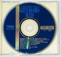 GLENN HUGHES Blues 1993年日本盤帯付き APCY-8118 FEMS グレン・ヒューズ_画像4