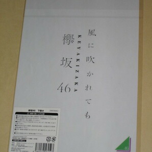 新品未開封 欅坂46 ローソン HMV 限定 B5下敷き 『風に吹かれても』平手友梨奈 小林由依 土生瑞穂 菅井友香 渡邉理佐 上村莉菜の画像2