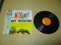 ハタリ HATARI! 国内 LP 帯付き '74再発 Henry Mancini ヘンリー・マンシーニ ジョン・ウェイン John Wayne _画像2