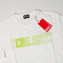 新品正規品 DIESEL ディーゼル T-JUST-E19 半袖 丸首 クルーネック ブランド ロゴ Tシャツ ホワイト L_画像3