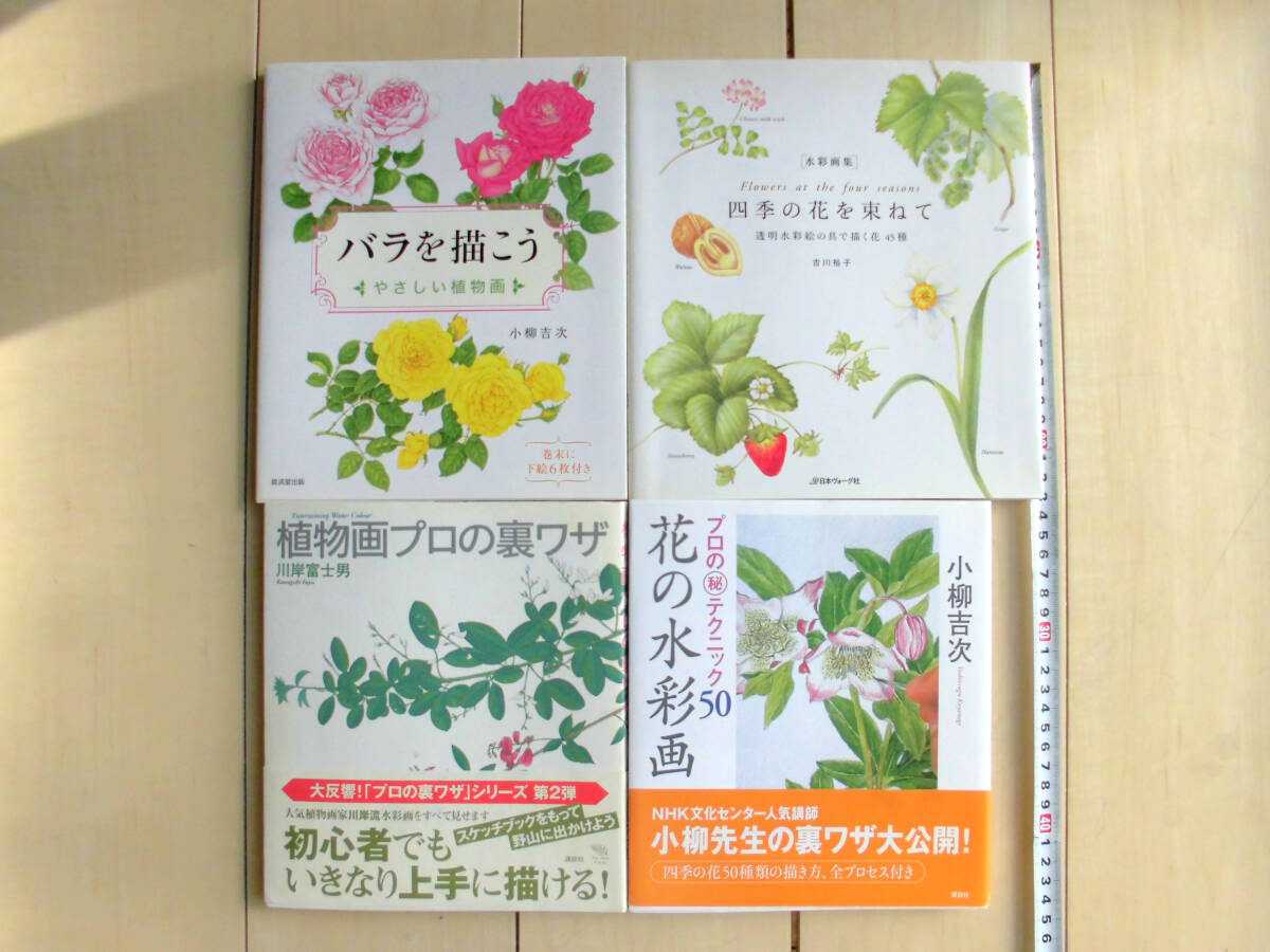 योशित्सुगु कोयानागी द्वारा 4 वनस्पति कला का सेट चलो गुलाब बनाते हैं युको योशिकावा द्वारा जल रंग चित्रकारी फुजियो कावाकी द्वारा मौसमी फूलों का बंडल वनस्पति चित्रण पेशेवर युक्तियाँ गुलाब कैसे बनाएं सेट, कला, मनोरंजन, चित्रकारी, तकनीक पुस्तक