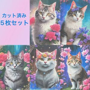 【パネル2】処分価格！！生地/パネル/猫/5枚セット