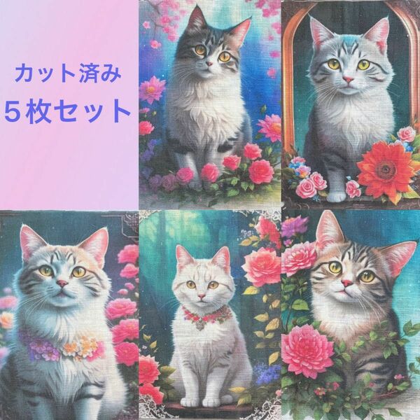 【パネル4】処分価格！！生地/パネル/猫/5枚セット