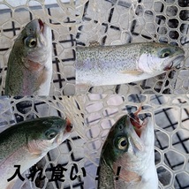 完成フライセット（6個）渓流トラウト釣りフライフィッシング爆釣毛ばりテンカラ毛鉤管理釣りルアーニジマスニンフルースニングサーモン_画像4