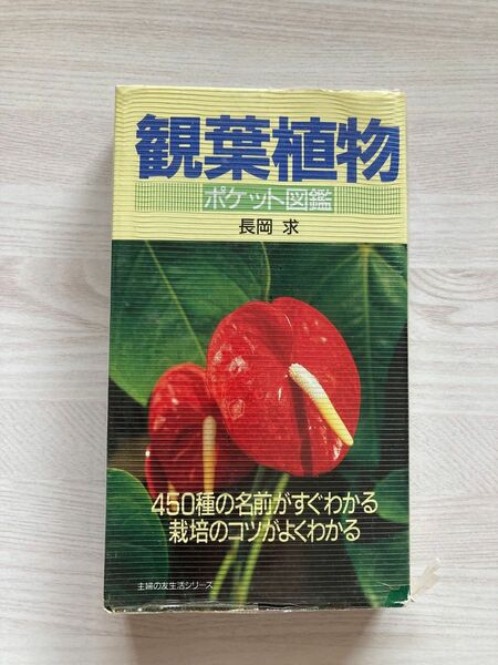 【中古品にご理解頂ける方へ】観葉植物　名前と育て方がすぐにわかる　ポケット図鑑　長岡求　平成6年発行　古いです