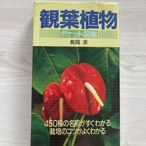 【中古品にご理解頂ける方へ】観葉植物　名前と育て方がすぐにわかる　ポケット図鑑　長岡求　平成6年発行　古いです