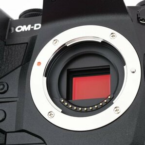 ●極上品●ショット数196！●OLYMPUS オリンパス OMシステム OM-D E-M1X ボディ / 元箱・付属品付【0303B】の画像10