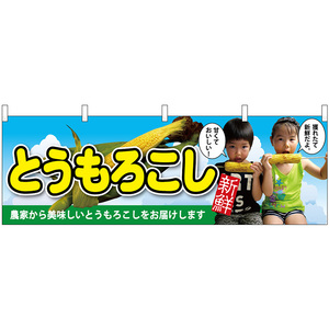 横幕 3枚セット とうもろこし 子供写真 No.63029