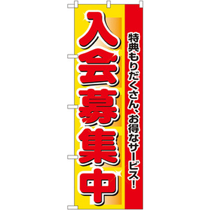 のぼり旗 2枚セット 入会募集中 No.2651