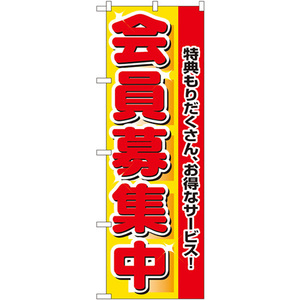 のぼり旗 2枚セット 会員募集中 No.2838