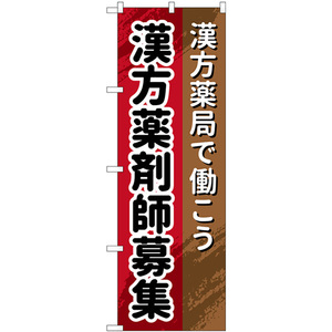 のぼり旗 2枚セット 漢方薬剤師 GNB-3240