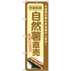 のぼり旗 2枚セット 自然薯直売 茨城県産 SNB-7297